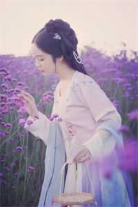 黑莲花驾到，不想谈情只想晋升宁司寒林妩完结版小说