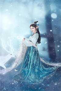 霜月雪满天裴泠宋翊结局+番外小说